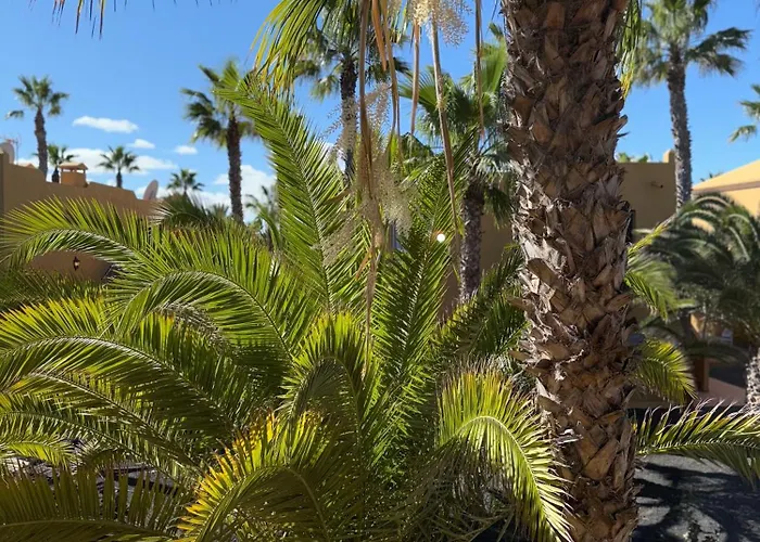 Casa Alma * Corralejo