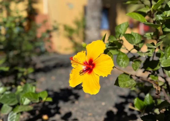 Casa Alma Appartement