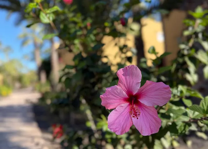 Apartamento Casa Alma