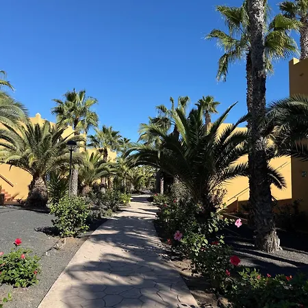 Casa Alma 科拉雷侯