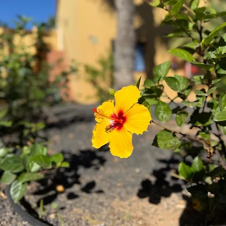 Casa Alma 公寓